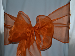 Organza Chair Sash